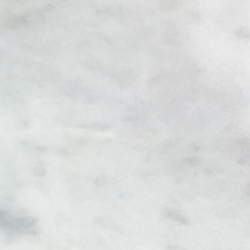 White Carrara T Honed Marble Tiles 12x12x3/8 Inch