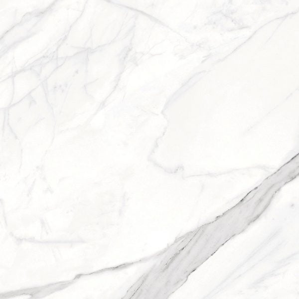 Calacatta Porcelain Matte Tile 24x24 Inch