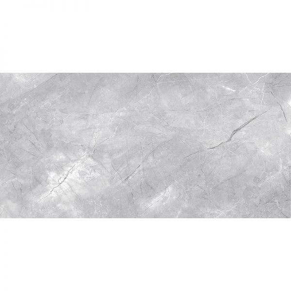 Pulpis Grey Porcelain Matte Tile 24x48 Inch