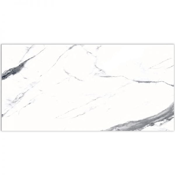 Statuario White Porcelain Matte Tile 24x48 Inch