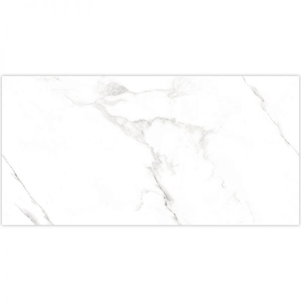 Bianco Lucia Porcelain Glossy Tile 24x48 Inch