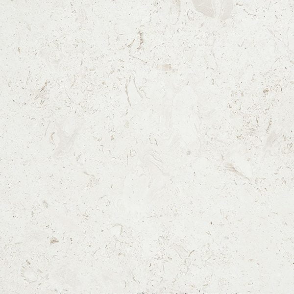 Mediterranean Seashell Brushed Limestone Tiles 24x24x1/2 Inch