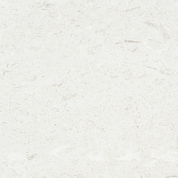 Mediterranean Seashell Honed Limestone Tiles 18x18x1/2 Inch