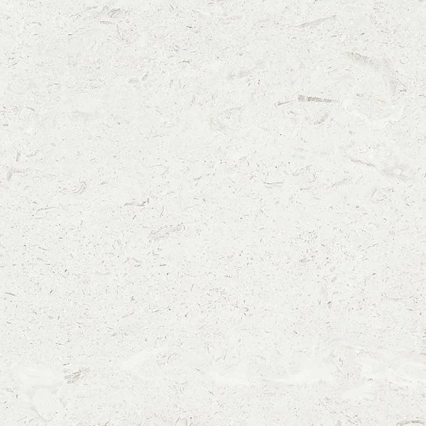 Mediterranean Seashell Honed Limestone Tiles 18x18x1/2 Inch
