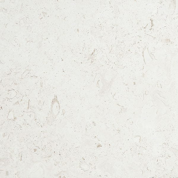 Mediterranean Seashell Honed Limestone Tiles 24x24x1/2 Inch