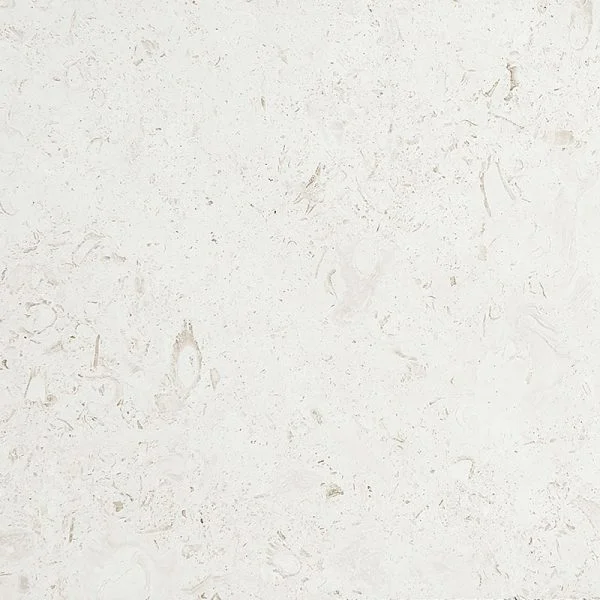 Mediterranean Seashell Honed Limestone Tiles 24x24x1/2 Inch